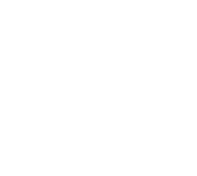 Vector